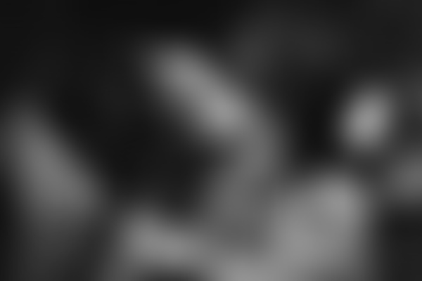 5 צעצועי המין המובחרים לזוגות