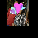 חתול תעלול