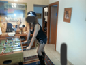 האלופים