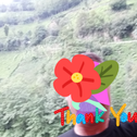 amir08
