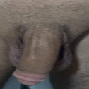 חיים בחיים