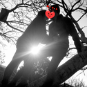 מתנסים חדשים1