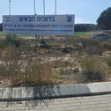 זוג שלב ראשון