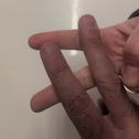 נוכחים בחיים 