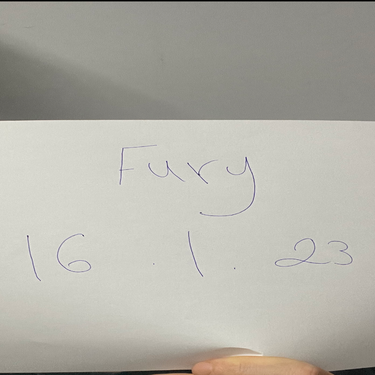 Fury