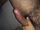 corpion