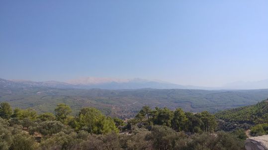 אלף ואלף
