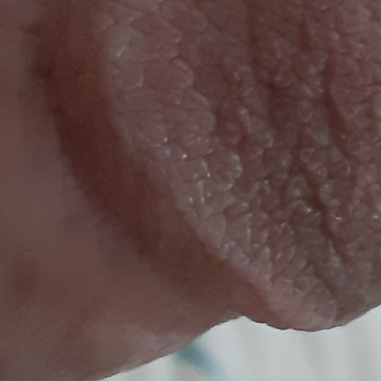 ירושלמי חתיך