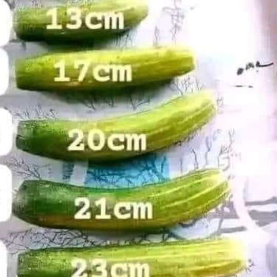 זוג שלב ראשון