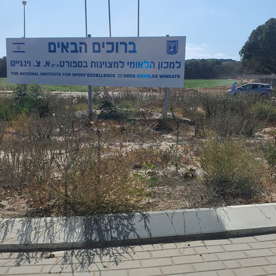 זוג שלב ראשון