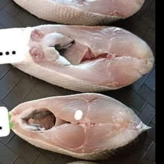 זוג שלב ראשון