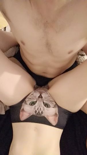 Ginger Cat